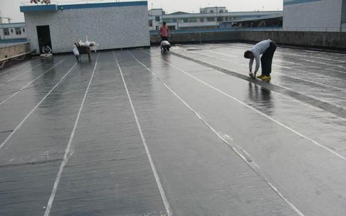 如何鑒定防水卷材和防水涂料的質(zhì)量？簡(jiǎn)單幾招保障防水效果