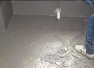 衛生間裝修防水指南 施工次數與材料選購詳解